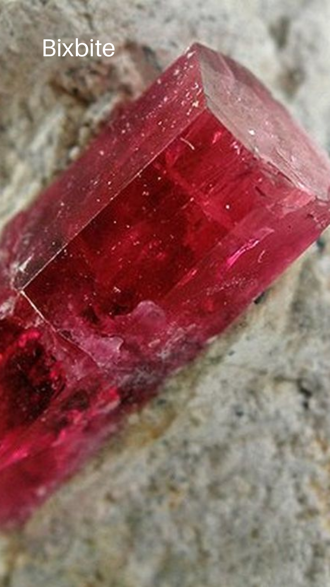 Red cellphone wallpaper