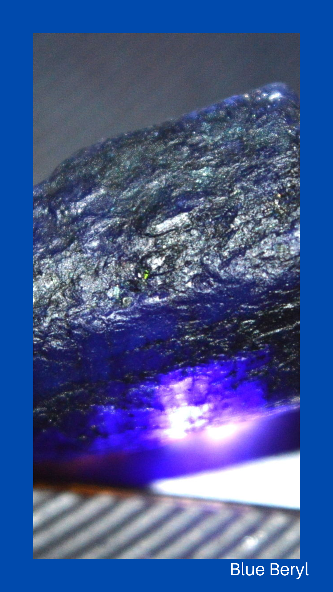 Cell phone or desktop wallpaper, Blue beryl phone wallpaper, blue beryl phone wallpaper Kaleidoscope Background,Jelly fish in the aquarium phone wallpaper, Japanese crab cell phone wallpaper, Crab in the beach, turtle, one jelly fish,