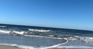 Crane Picture, Ocean picture, beautiful day at the beach, Footprints on the beach, waves Ocean Front, North Carolina pictures