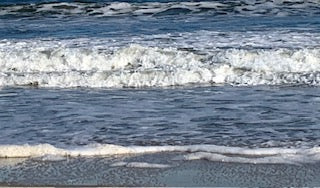 Crane Picture, Ocean picture, beautiful day at the beach, Footprints on the beach, waves Ocean Front, North Carolina pictures