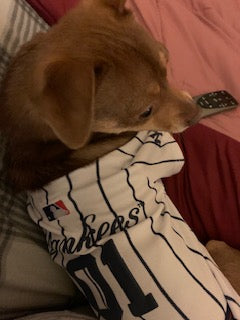 Pictures for your projects