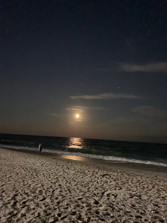 Harvest moon video use this video for your creative endeavors live meditation, blogs, vlogs, movies, etc.