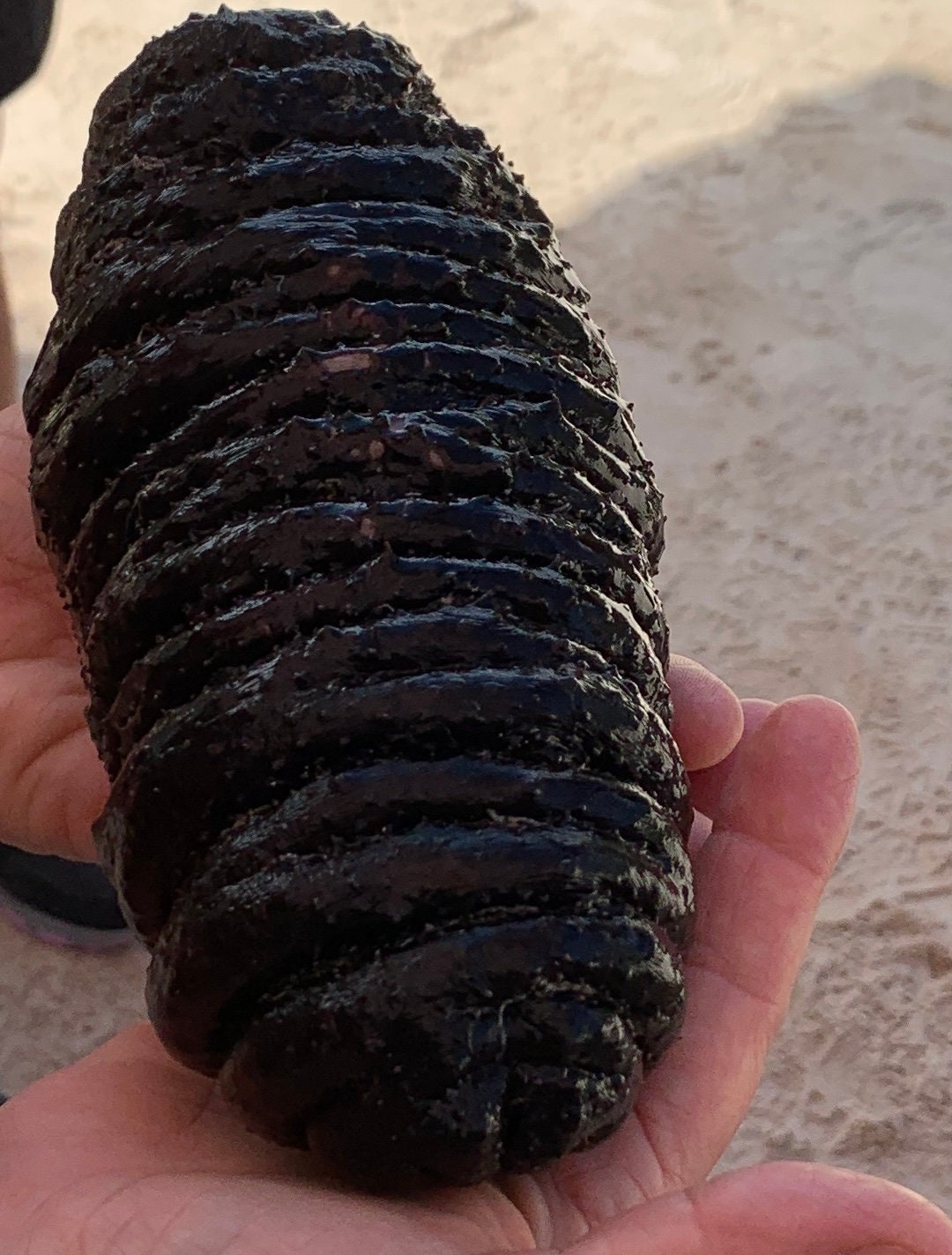 This picture would be great for a kids room, daycare or nursery,