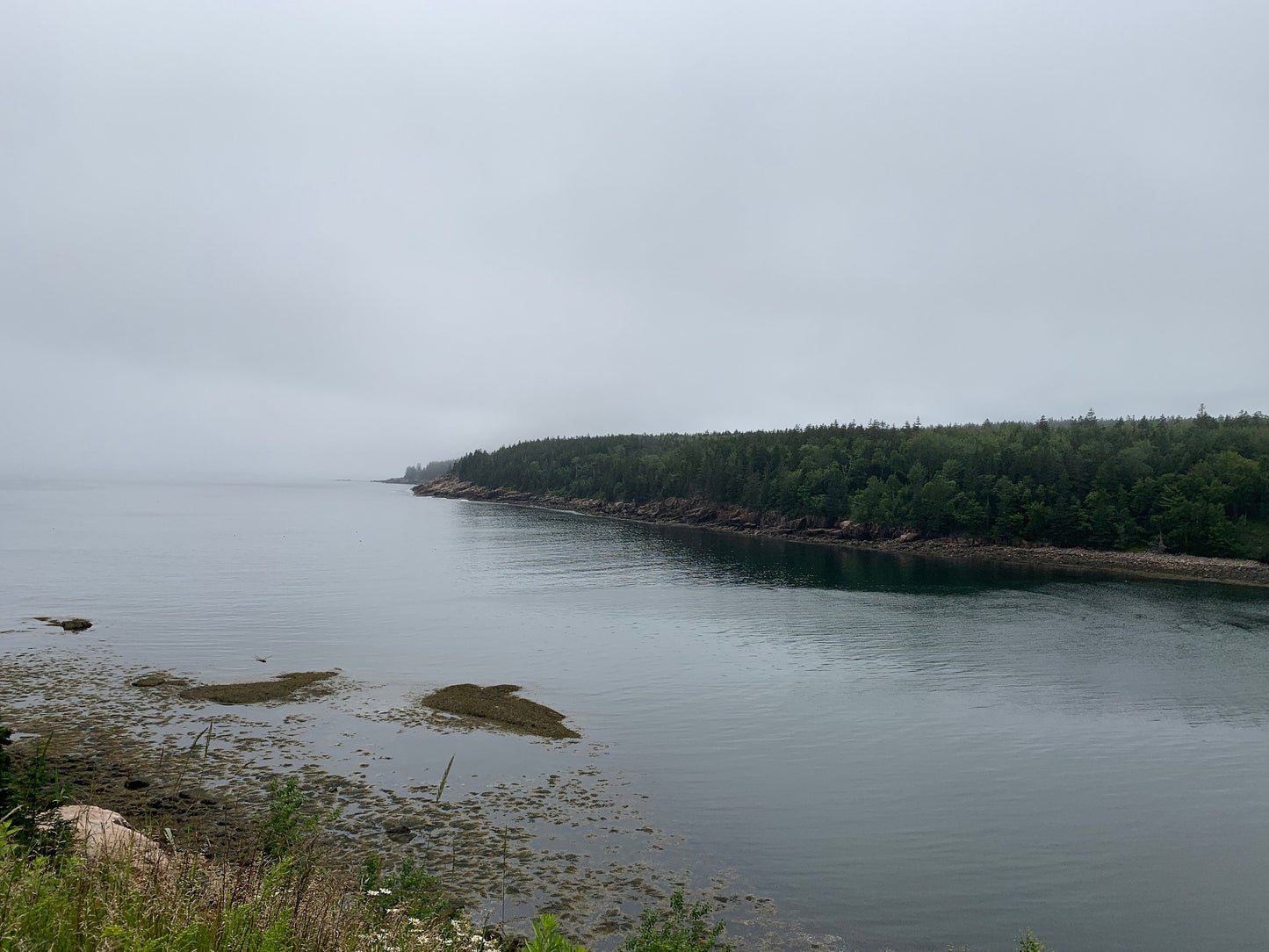 Acadia national park.