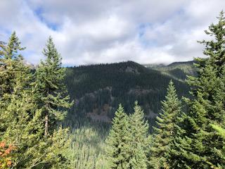 Mount Reinier National Park
