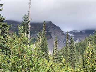 Mount Reinier National Park