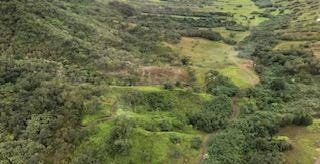 The mountainside in Hawaii picture