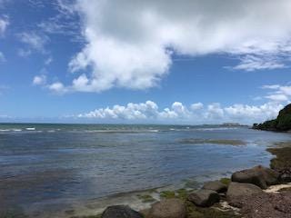 Blue waters