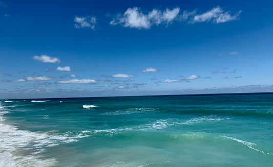 Crane Picture, Ocean picture, beautiful day at the beach, Footprints on the beach, waves Ocean Front, North Carolina pictures