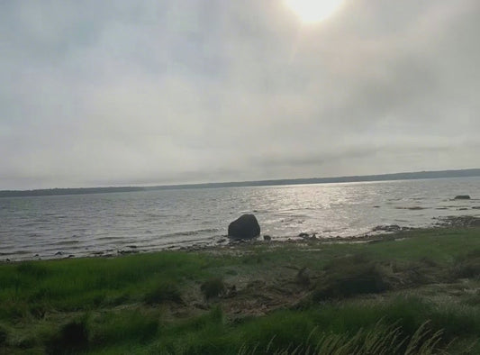 Serene clips with meditation music